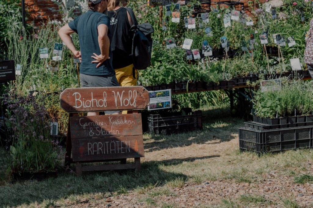 Gartentage Schloss Kohfidisch