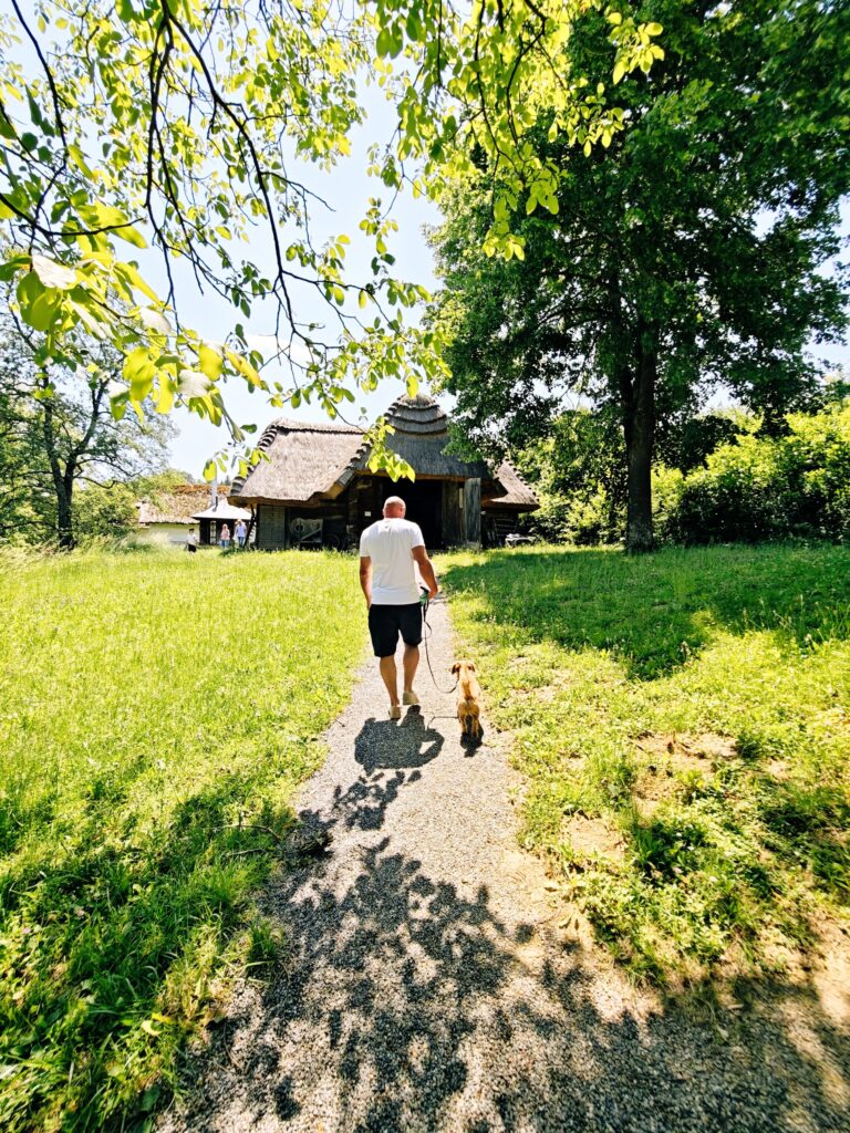 Mann mit Hund in Grünanlage